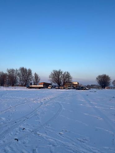 Аренда участков: 10003 соток Для бизнеса, Электричество — 3