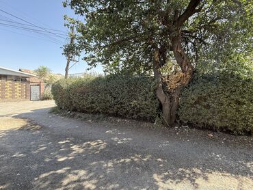 Продажа домов: Дом, 70 м², 4 комнаты, Риэлтор, ПСО (под самоотделку) at lalafo.kg — 5 Продажа домов: Дом, 70 м², 4 комнаты, Риэлтор, ПСО (под самоотделку) — 5