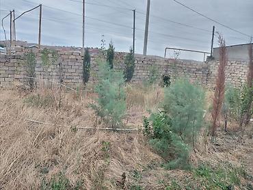 Həyət evləri və villalar: Müşfiqabad 5 otaqlı, 180 kv. m, Kredit yoxdur, Orta təmir — 2