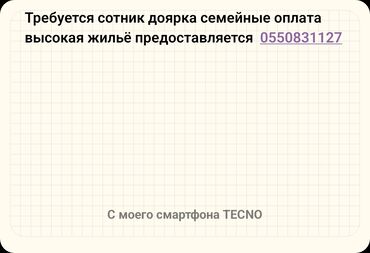 уй кой: Вакансия: сотник доярок (возможна семейная пара) Оплата высокая