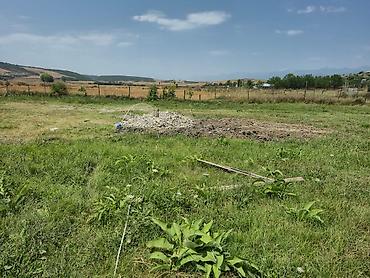 Torpaq sahələrinin satışı: 25 sot, Tikinti, Mülkiyyətçi, Kupça (Çıxarış) — 11