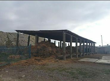 bileceride kiraye bina evleri 2022: Satışa geniş həyətyanı sahəyə malik təsərrüfat tipli obyekt təqdim — 6