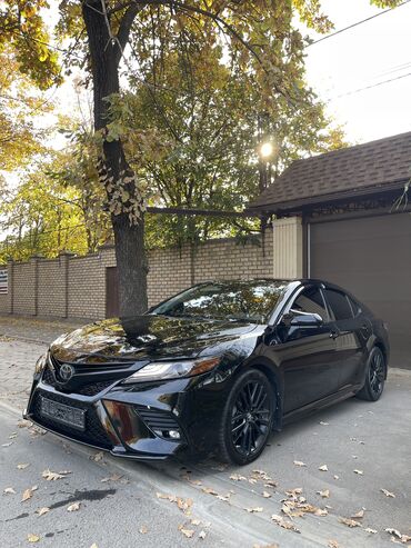 жабры на капот: Toyota Camry: 2019 г., 3.5 л, Автомат, Бензин, Седан