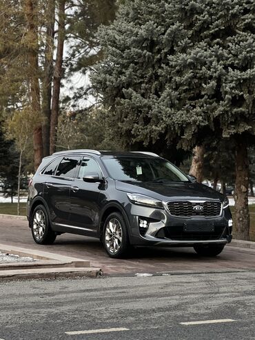 Kia: Kia Sorento: 2019 г., 2 л, Автомат, Дизель, Кроссовер