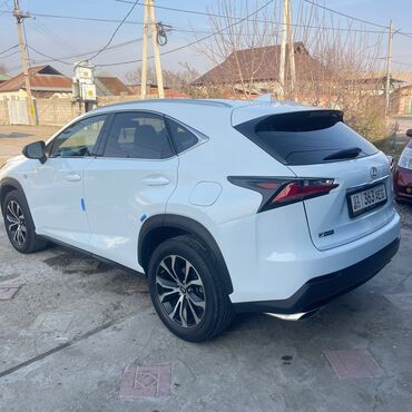 Lexus: Lexus NX: 2017 г., Кроссовер — 19