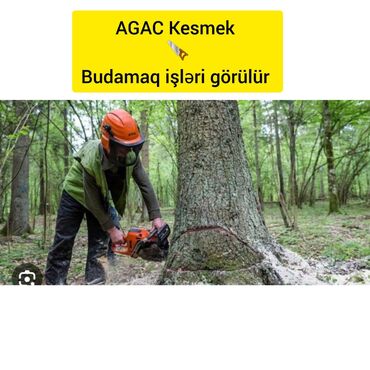 meyvə ağaclarının dərmanlanması: Ağac kesmek budamaq işləri görülür.🪚 Kotukleri səliqəli dogramaq qol