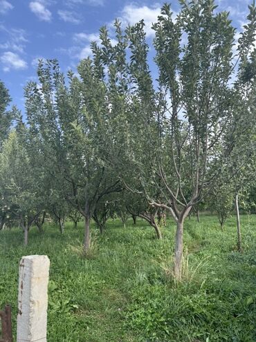 Продажа домов: Дом, 500 м², 6 комнат, Собственник, ПСО (под самоотделку) — 18