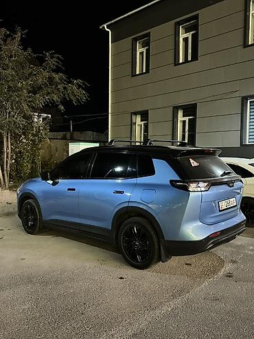 Weltmeister: Weltmeister W6, 2022 г., 54000 км — 4