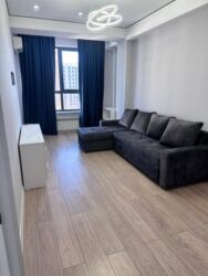 квартиры в бишкеке на долгий срок: 1 комната, 45 м², Элитка, 13 этаж, Евроремонт