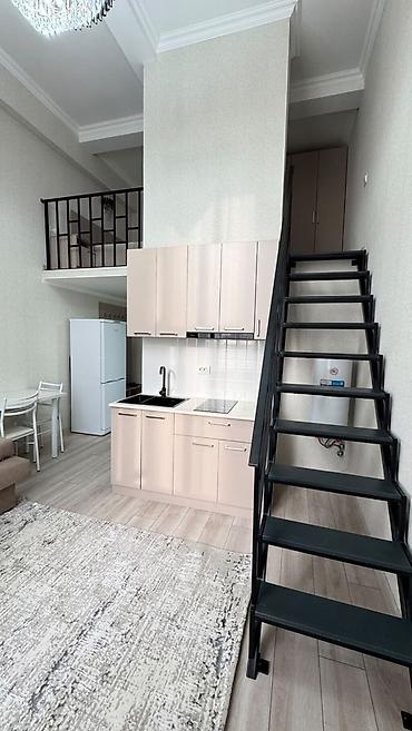 сдам квартиру аламедин 1: Студия, 29 м², Аламедин-1 мкр Элитка, 4 этаж, Свежий ремонт — 5