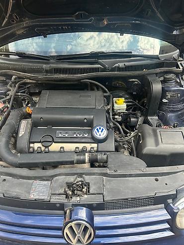 wolksvagen vento: Volkswagen Golf: 2003 г., Механика, Бензин, Хэтчбэк — 5