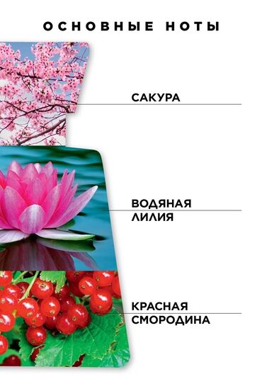 하얏트【KaKaotalk:Za31】포도 호텔: Faberlic KAORI Eau de Parfum – 50 ml Təzə çiçək-meyvə xəttində zərif