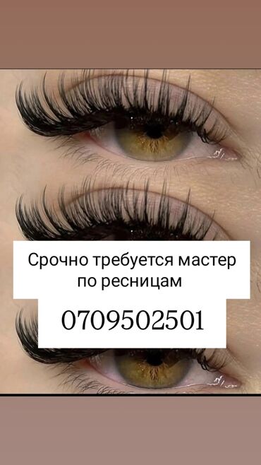 работа мастер по наращиванию ресниц: Кирпик чеберлери. Пайыз