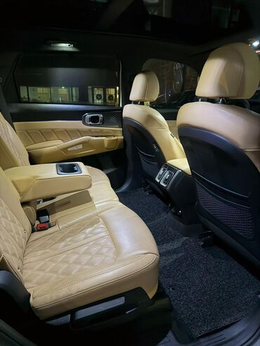 Kia: Kia Sorento: 2020 г., 1.6 л, Гибрид — 17