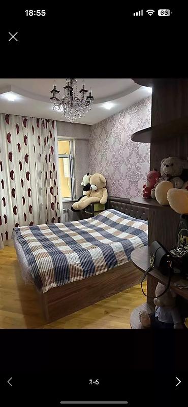 Mənzillər: Kirayəyə otaq yoldaşı xanım axtarılır. İşliyən maddi sıxıntısı olmuyan — 6