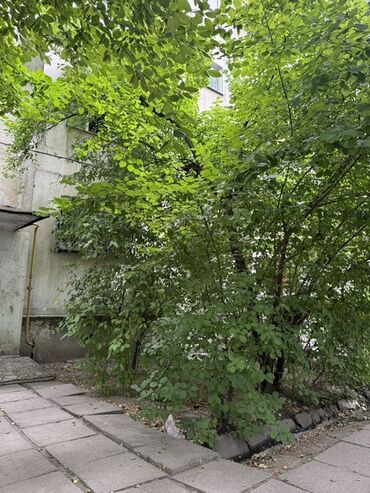 снять квартиру в токмаке запорожская область: 1 комната, Собственник, С мебелью полностью