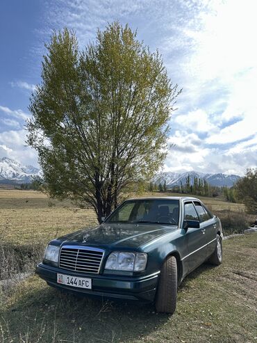 куплю сидение на спринтер: Mercedes-Benz W124: 1994 г., 3.2 л, Автомат, Бензин, Седан