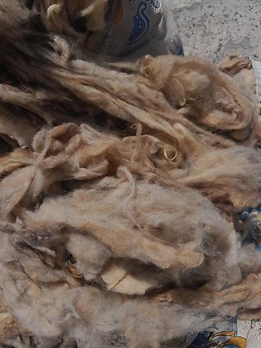 Другое: Təmiz bel yunu satılır 20kq çoxdu
1kq 3m hamsini alana endirim olacag — 1