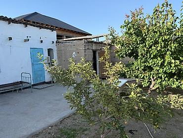 приват кж: Дом с двором и садом в Балыкчы - Отдельный одноэтажный дом с — 3