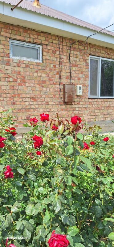 дом фрунзе совхоз: 80 м², 4 комнаты at lalafo.kg дом фрунзе совхоз: 80 м², 4 комнаты