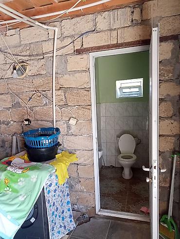 neapol dairesinde kiraye evler: 4 otaqlı mənzil 140кв - Geniş və işıqlı zal: divarları açıq yaşıl — 10