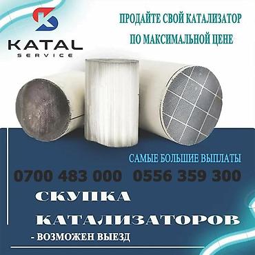 Скупка катализаторов: Катализаторы алабыз, Катализатор Скупка катализаторов Бишкек, Скупка — 6