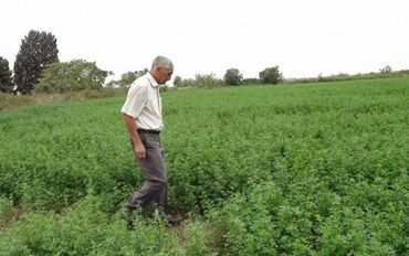 Torpaq sahələrinin satışı: 110 sot, Kənd təsərrüfatı, Mülkiyyətçi, Kupça (Çıxarış)