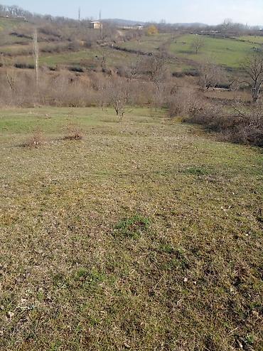 kiraye yolu ile satilan evler: 30 sot, Kənd təsərrüfatı, Mülkiyyətçi — 5