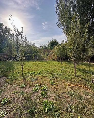 Үйлөрдү сатуу: 3 бөлмө, 85 м², 7 соток, Сокулук, Кыймылсыз мүлк агенттиги — 5