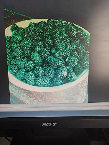 Смородина: Смородина — 13