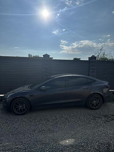 Tesla: Tesla Model 3: 2022 г., Автомат, Электромобиль, Седан — 5