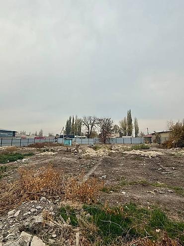 вагон ош: 29 соток, Для строительства, Договор купли-продажи, Красная книга — 4