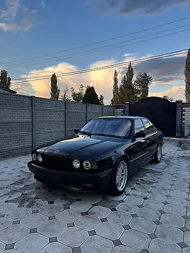 BMW: BMW 5 series: 1994 г., Седан — 1