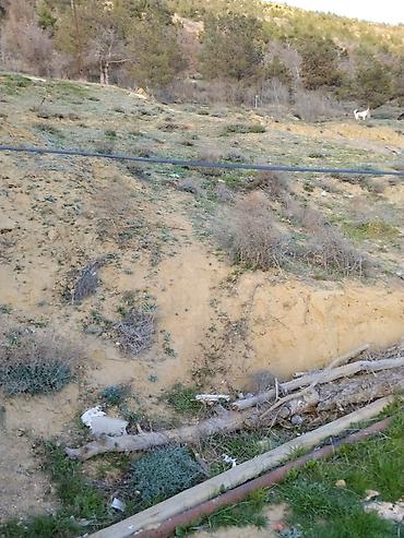 Torpaq sahələrinin satışı: 2 sot, Bələdiyyə — 7