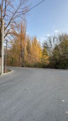 Продажа участков: 30 соток, Для строительства, Красная книга at lalafo.kg — 5 Продажа участков: 30 соток, Для строительства, Красная книга — 5