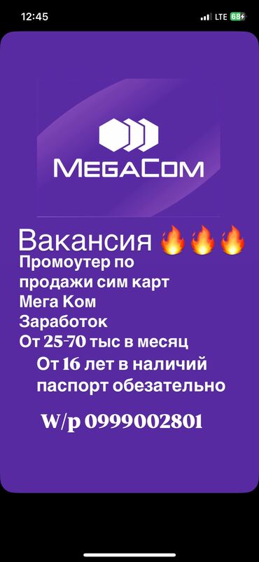 работа в бишкеке для студентов официант без опыт: График договорный