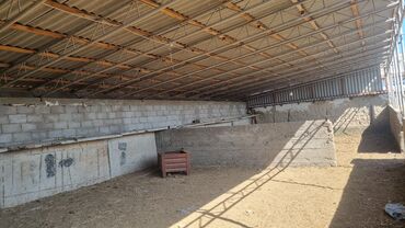 Сельхоз предприятия: Продаю Ферма КРС, 12 соток, Действующий, С оборудованием, Электричество, Скважина, Холодная вода — 2