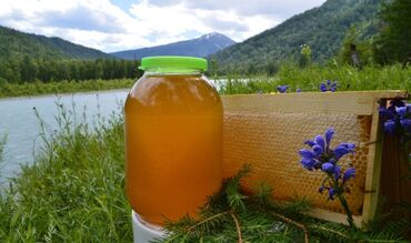 бочка сатылат ош: 🍯 Тоо балы – Жайлоодон келген табигый шыпаа! 📍 Узун-Ак-Мат суусунун