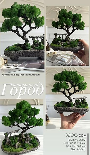 Декоративные цветы: В переводе с японского Бонсай означает «дерево, выращенное в блюде» — 49