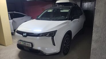 электромобили из китая: Weltmeister W6, 2021 г., 166000 км, Алдыңкы, Бар