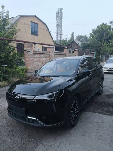 электромобиль neta: Черный кроссовер W6 с современным дизайном. Автомобиль оснащен