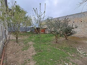 bayilda kiraye evler 2018: 5 комнат, 150 м², Нет кредита, Свежий ремонт — 4