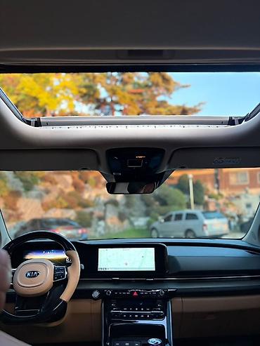 8: Kia Carnival: 2022 г., Автомат, Минивэн — 6