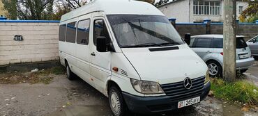 Mercedes-Benz: Mercedes-Benz Sprinter: 2001 г., 2.9 л, Механика, Дизель