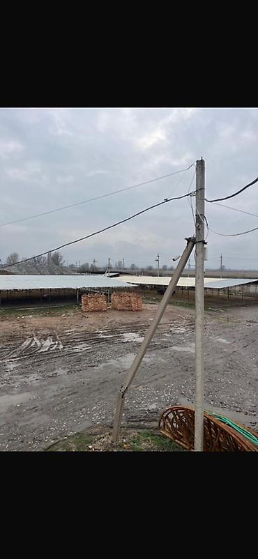 Продажа цехов, заводов, фабрик: Завод, С оборудованием, 20000 м² at lalafo.kg — 14 Продажа цехов, заводов, фабрик: Завод, С оборудованием, 20000 м² — 14