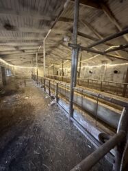 Torpaq sahələrinin satışı: 6 sot, Tikinti, Maklerlər narahat etməsin, Kupça (Çıxarış) — 2