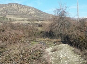 Torpaq sahələrinin satışı: 19 sot, Kənd təsərrüfatı, Mülkiyyətçi, Kupça (Çıxarış) — 7