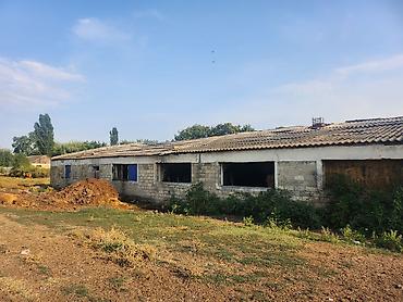 corat həyət evləri: Ferma təsərrüfatı üçün daş konstruksiyalı iri təsərrüfat binaları və — 3