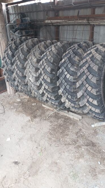 купить бу шины в бишкеке: Внедорожные шины 14.00-20 (профиль «ёлка», агрессивный грязевой