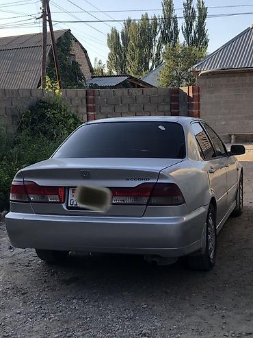 outback wilderness: Honda Accord: 2001 г., 1.8 л, Бензин, Седан — 1